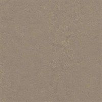 3709 Silt Concrete 